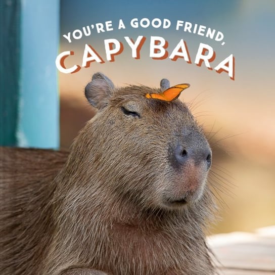 Youre a Good Friend, Capybara Chronicle Books