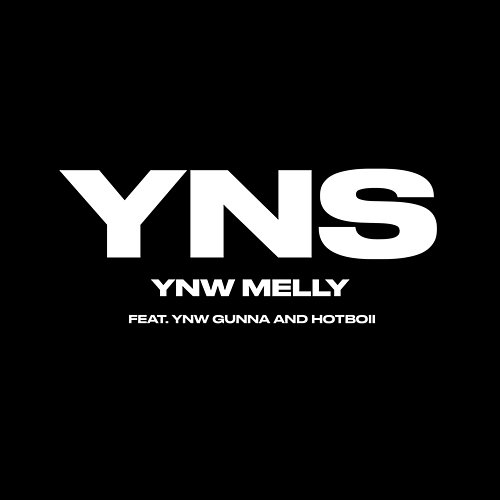 Yung Nigga Shit YNW Melly feat. YNW Gunna, Hotboii