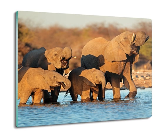z foto osłona na indukcję Rodzina słoni woda 60x52, ArtprintCave ArtPrintCave