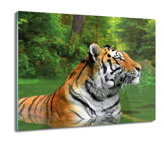 z foto osłona na indukcję Tygrys woda drzewa 60x52, ArtprintCave ArtPrintCave