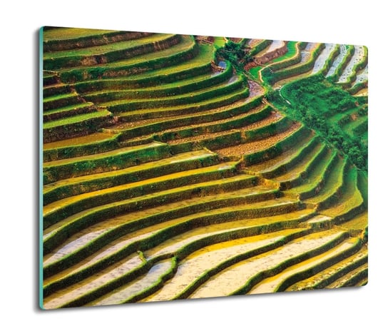 z foto osłona splashback Pola ryżowe Wietnam 60x52, ArtprintCave ArtPrintCave