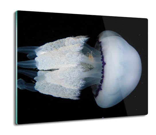 z foto osłonka kuchenna Meduza morze ocean 60x52, ArtprintCave ArtPrintCave