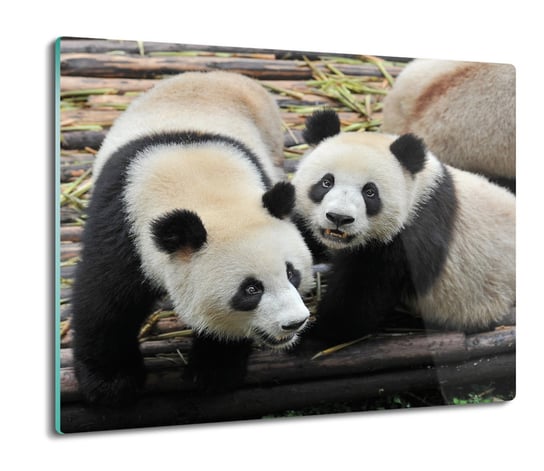z foto szklana osłona kuchenna Rodzina pandy 60x52, ArtprintCave ArtPrintCave