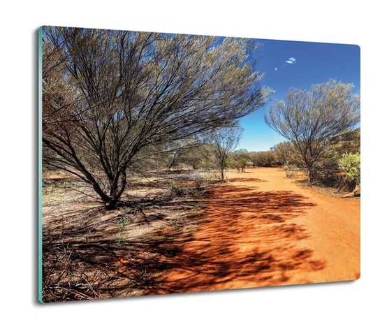 z grafiką osłonka Drzewa droga Australia 60x52, ArtprintCave ArtPrintCave