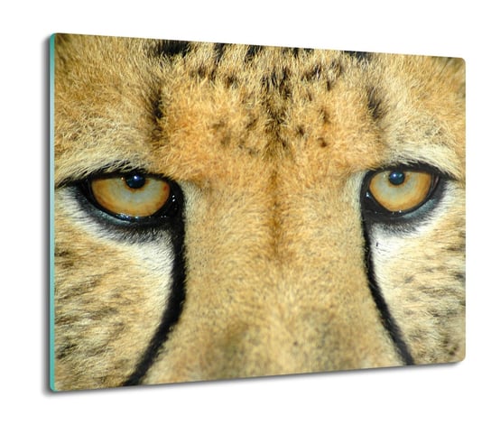 z grafiką osłonka kuchenna druk Oczy gepard 60x52, ArtprintCave ArtPrintCave