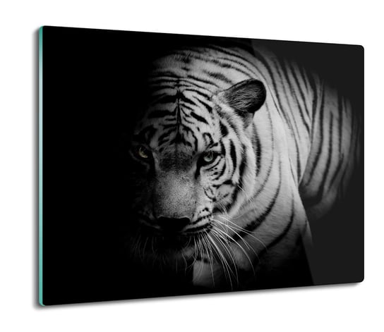 z grafiką splashback z foto Biały tygrys kot 60x52, ArtprintCave ArtPrintCave