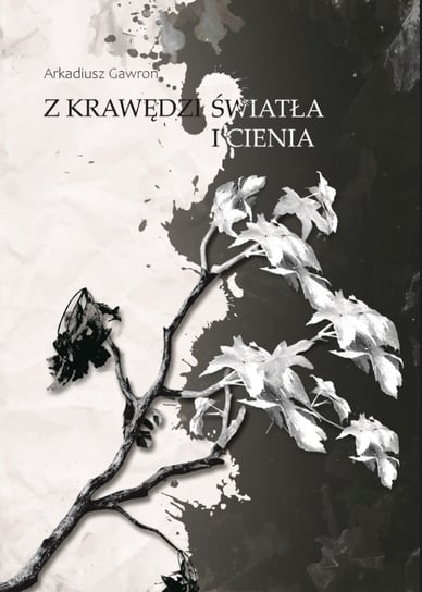 Z krawędzi światła i cienia - ebook epub Gawron Arkadiusz