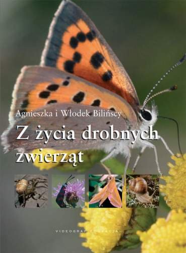 Z życia drobnych zwierząt Bilińska Agnieszka, Biliński Włodzimierz