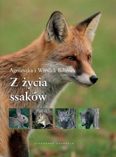 Z życia ssaków Bilińska Agnieszka, Biliński Włodzimierz