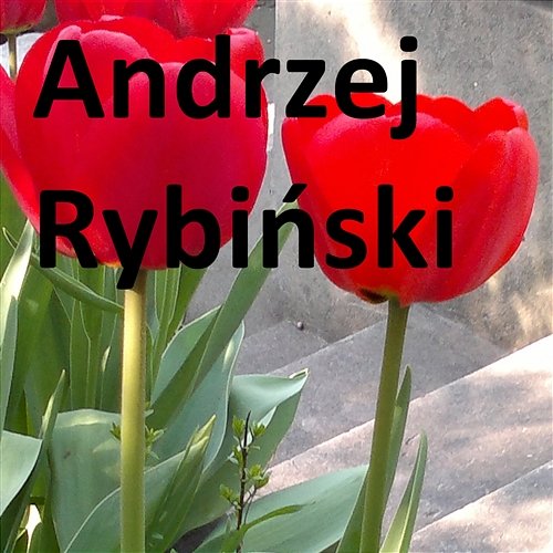 Za Oknami Andrzej Rybiński
