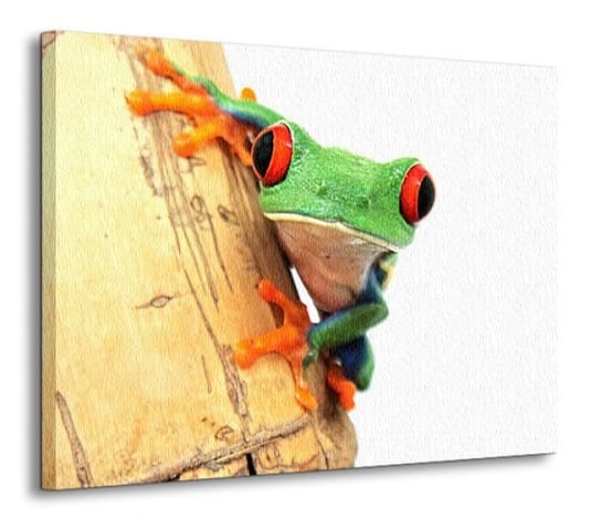 Żaba z bliska - Obraz na płótnie Nice Wall