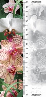 Zakładka 3D Orchidea Worth Keeping