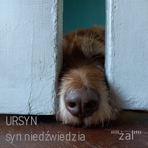 żal Ursyn syn niedźwiedzia