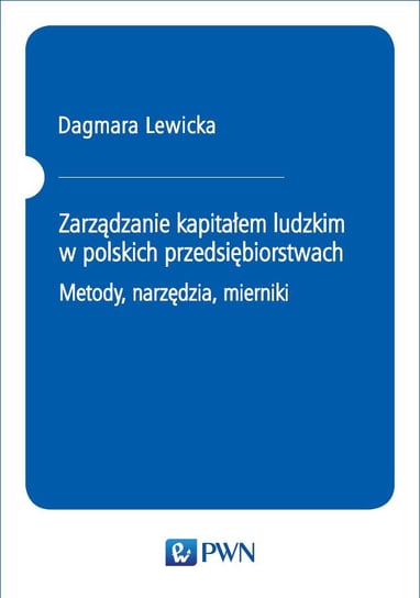Zarządzanie kapitałem ludzkim w polskich przedsiębiorstwach. Metody, narzędzia, mierniki Lewicka Dagmara