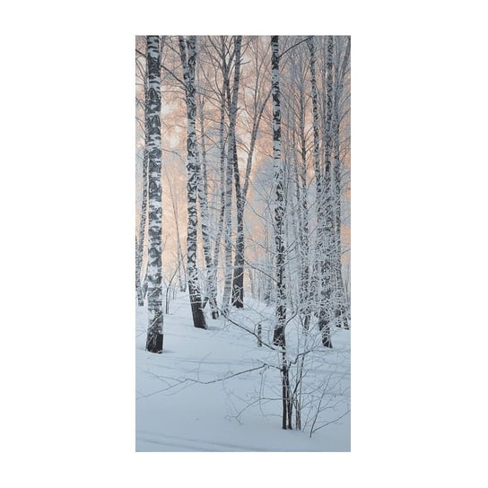 Zasłona TEKSTYLIALAND Krajobraz Brzozy Zimą, 140x240 cm Tekstylialand