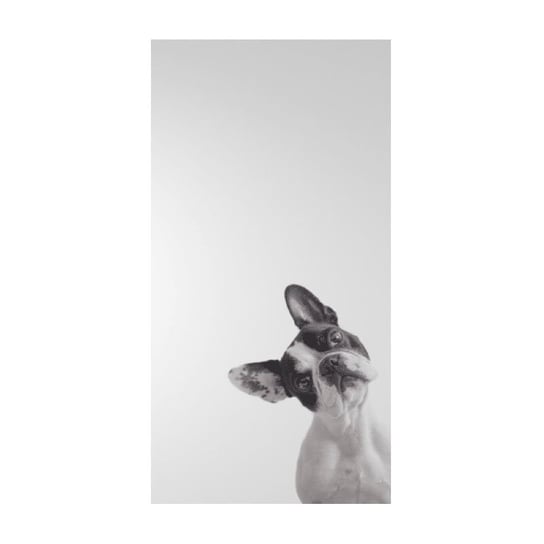 Zasłona TEKSTYLIALAND Zdziwiony Pies, 140x240 cm Tekstylialand