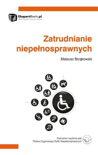 Zatrudnianie niepełnosprawnych Brząkowski Mateusz