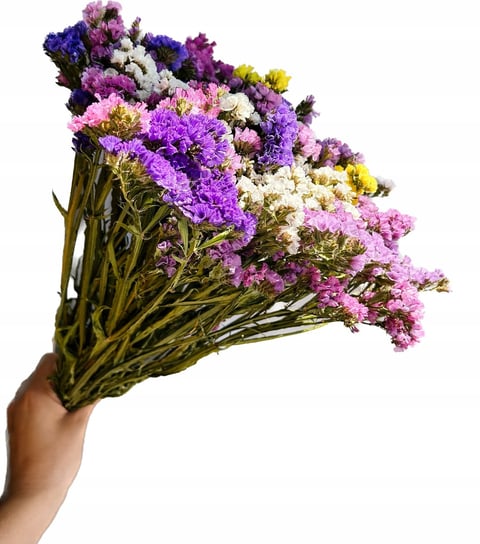 Zatrwian Wrębny Suszony Bukiet Naturalny Kwiaty HomeDot