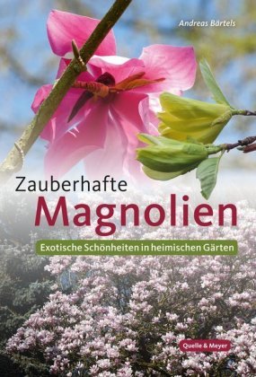 Zauberhafte Magnolien Quelle & Meyer