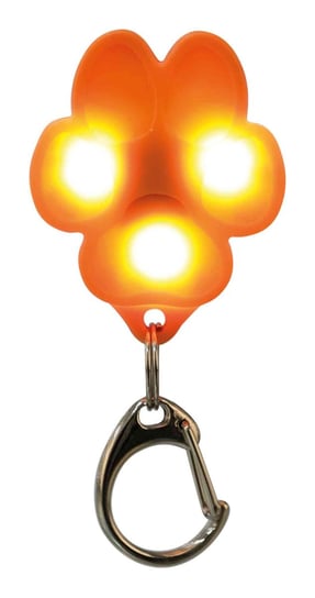 Zawieszka świecąca dla psów Flasher, USB, 3.5 × 4.3 cm Trixie