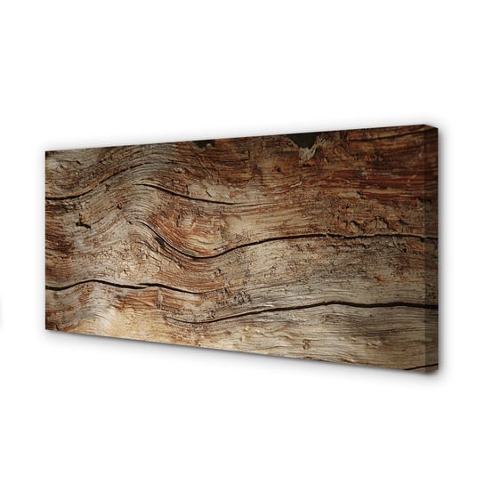 Zdjęcie na płótnie dekor TULUP Drewno deska słoje, 100x50 cm cm Tulup