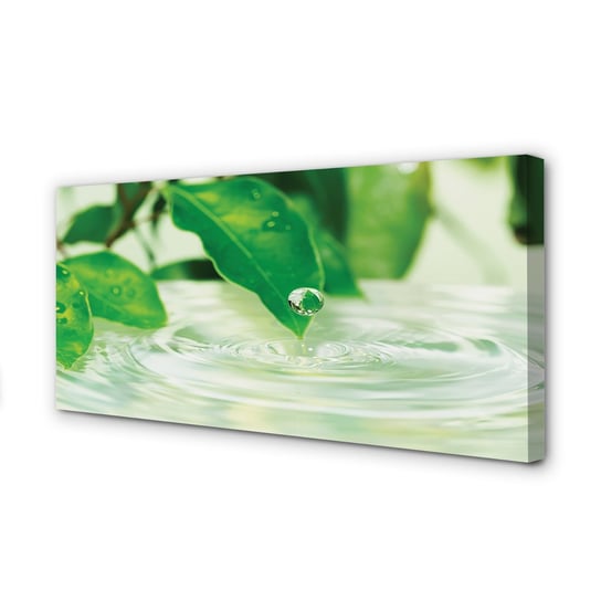 Zdjęcie na płótnie dekor TULUP Krople liście woda, 100x50 cm cm Tulup
