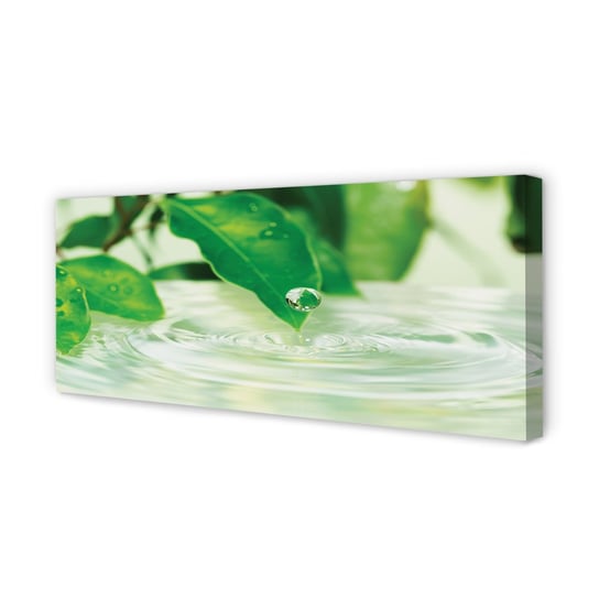 Zdjęcie na płótnie dekor TULUP Krople liście woda, 125x50 cm Tulup