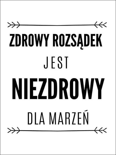 zdrowy rozsądek - plakat 30x40 cm / AAALOE Inna marka