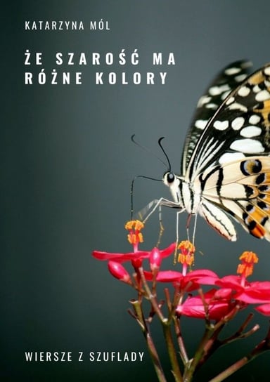 Że szarość ma różne kolory - ebook mobi Mól Katarzyna