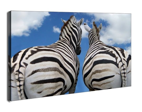 Zebry, Miłość - obraz na płótnie 40x30 cm Galeria Plakatu