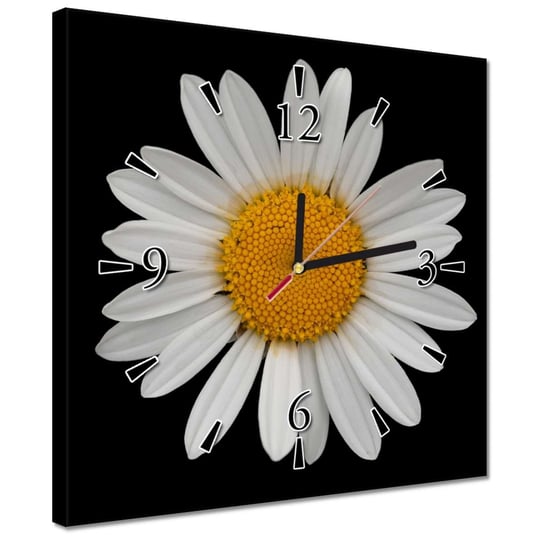 Zegar 30x30cm Białe kwiaty rumianku ZeSmakiem