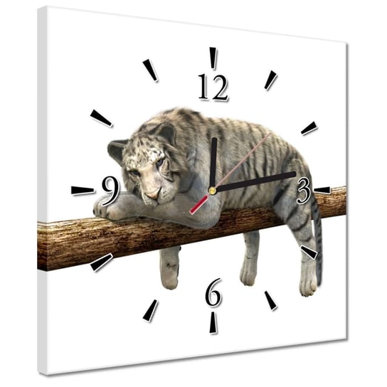 Zegar 30x30cm Biały tygrys na belce ZeSmakiem