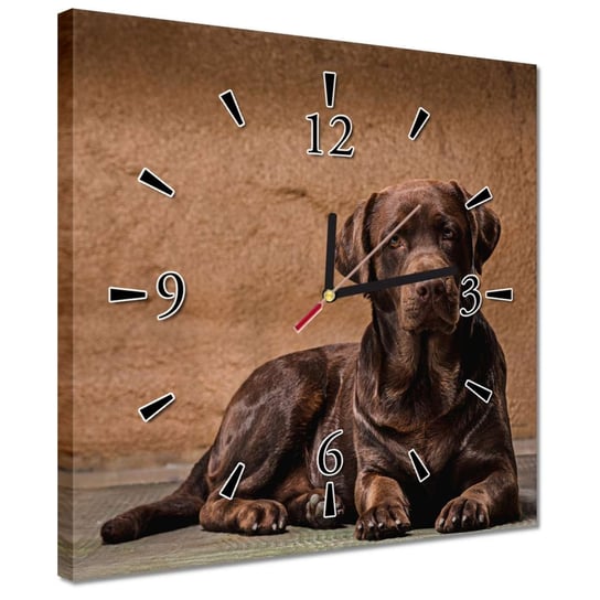 Zegar 30x30cm Brązowy przyjaciel Pies Inna marka