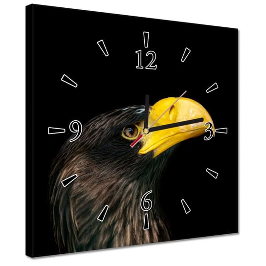 Zegar 30x30cm Drapieżny ptak orzeł ZeSmakiem