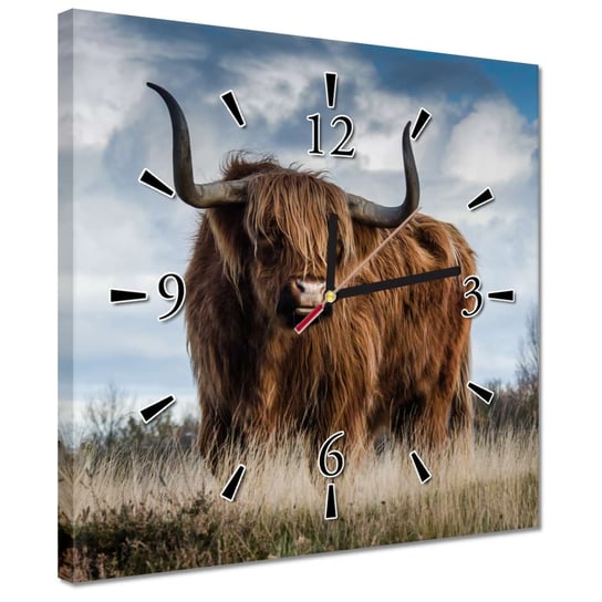 Zegar 30x30cm Krowa szkocka wyżynna Róg ZeSmakiem
