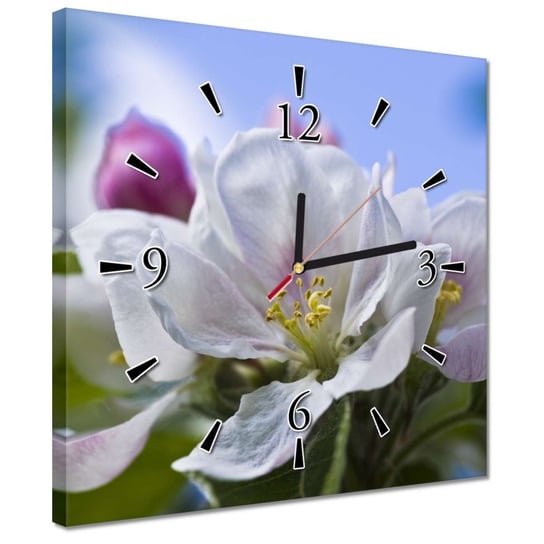 Zegar 30x30cm Kwiat jabłoni ZeSmakiem