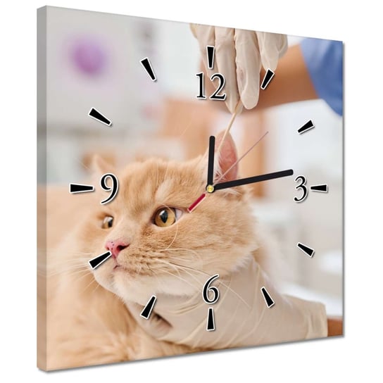 Zegar 30x30cm Lekarz czyści uszy kota ZeSmakiem