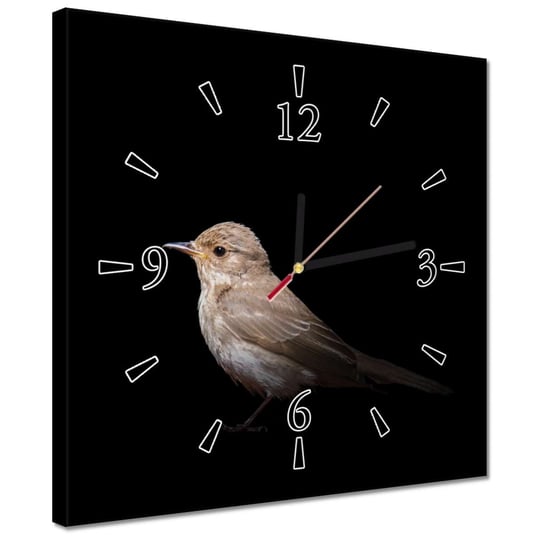Zegar 30x30cm Mały wróbelek ptaszek ZeSmakiem