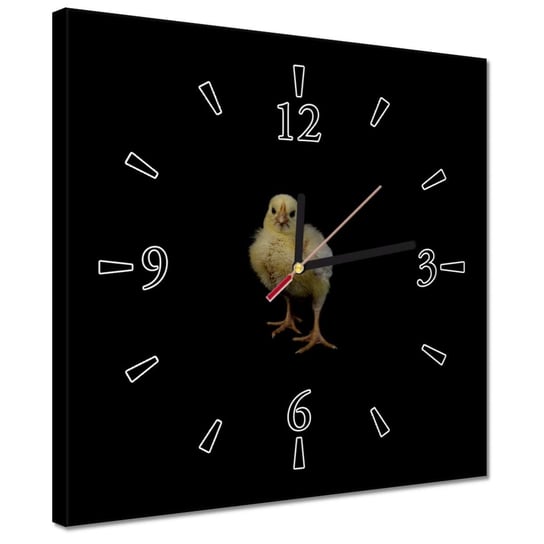Zegar 30x30cm Mały żółty kurczaczek ZeSmakiem