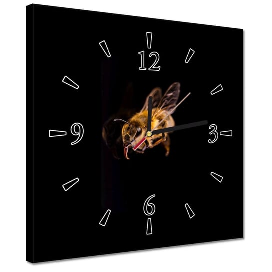 Zegar 30x30cm Martwa miodowa pszczoła ZeSmakiem