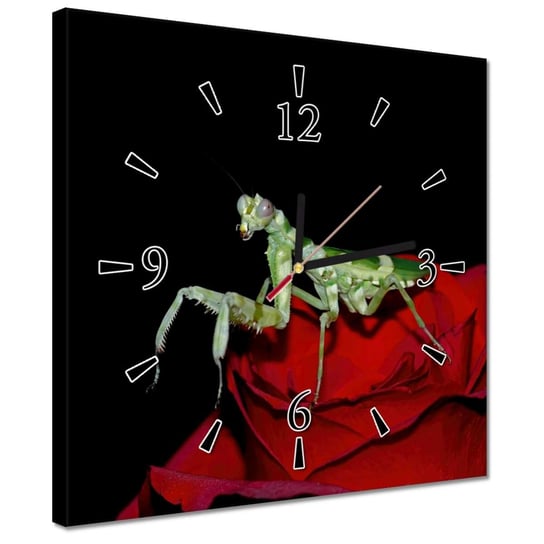 Zegar 30x30cm Modliszka czerwony kwiat ZeSmakiem