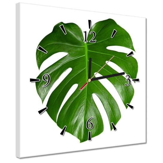 Zegar 30x30cm Monstera dziurawa Liście ZeSmakiem