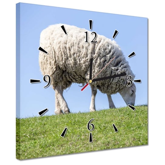 Zegar 30x30cm Owca podczas wypasu Hala Inna marka
