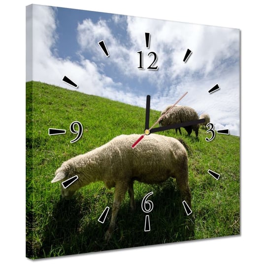 Zegar 30x30cm Owce na wypasie ZeSmakiem