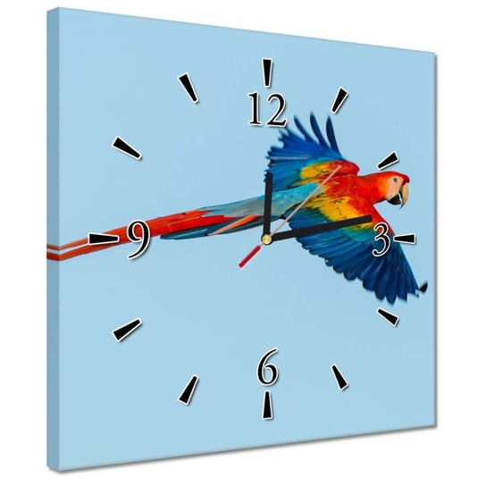 Zegar 30x30cm Papugi Papużki Ptaszki ZeSmakiem
