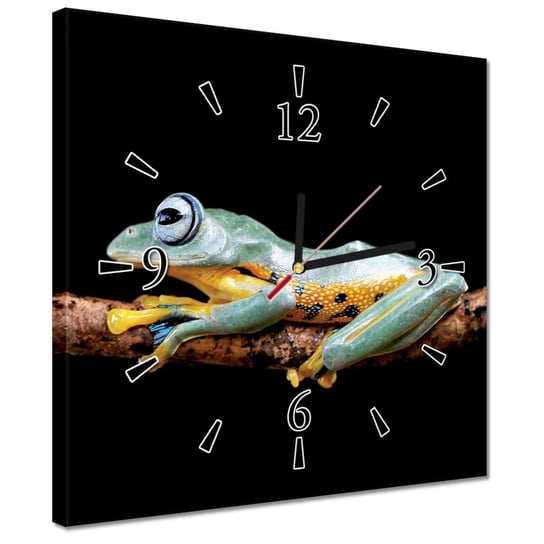 Zegar 30x30cm Piękna żaba na gałęzi ZeSmakiem