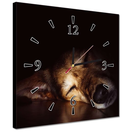 Zegar 30x30cm Pies leżący na podłodze ZeSmakiem