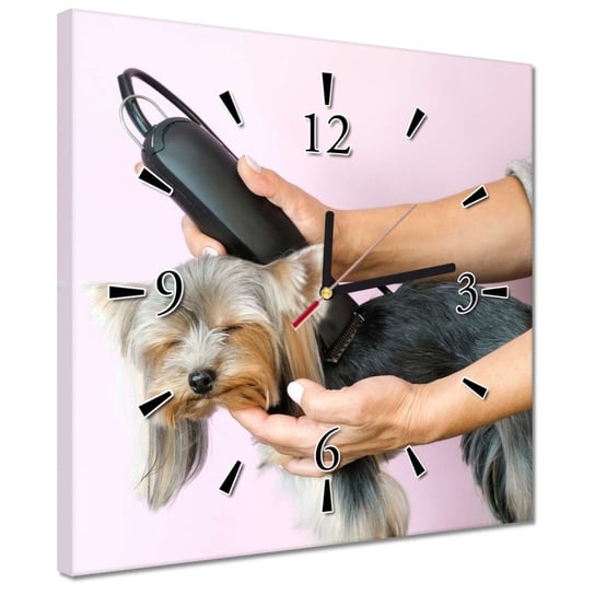 Zegar 30x30cm Pracownia strzyżenia psów ZeSmakiem