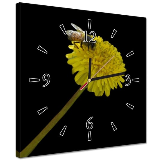 Zegar 30x30cm Pszczoła na mniszku ZeSmakiem