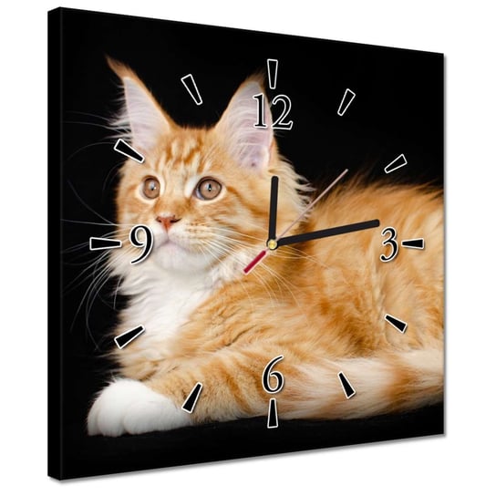 Zegar 30x30cm Siedzący duży rudy kotek ZeSmakiem